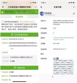 區(qū)塊鏈應(yīng)用遍地開花 30大場(chǎng)景落地引領(lǐng)商用時(shí)代加速到來